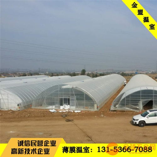 泉州花卉種植薄膜溫室大棚 平米價格與實用價值全解析