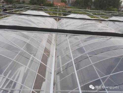 智能溫室大棚核心 齒條推拉遮陽系統(tǒng)安裝標準才算真合格