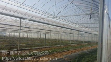 汕頭生態簡易連棟薄膜溫室廠家批發 大棚薄膜與現代農業的結合